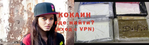 индика Болотное