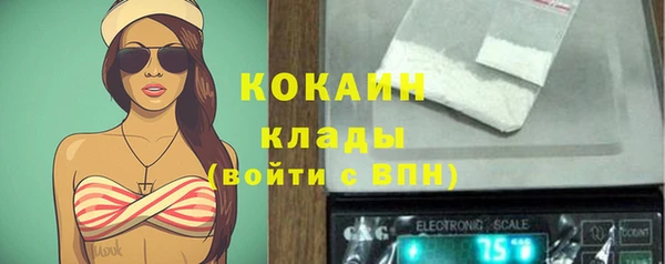 mdpv Билибино
