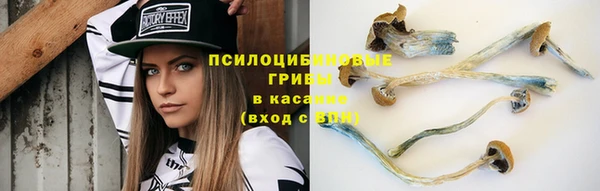 спиды Тосно