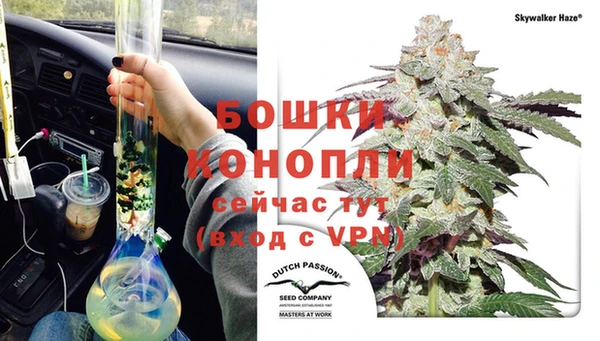 индика Болотное