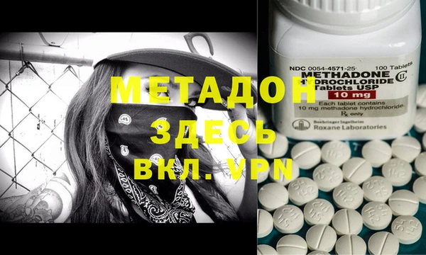 индика Болотное