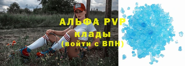 индика Болотное