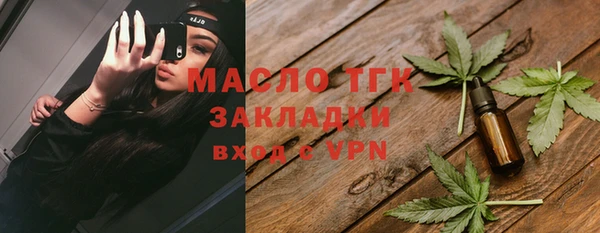 индика Болотное