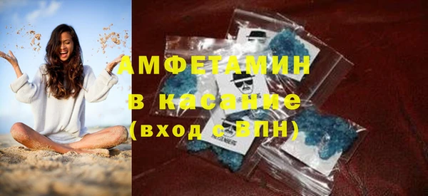 индика Болотное