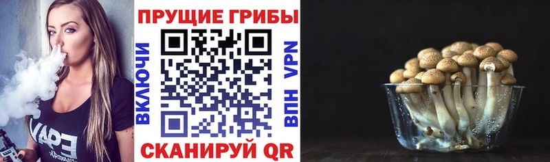 Галлюциногенные грибы GOLDEN TEACHER  Задонск 